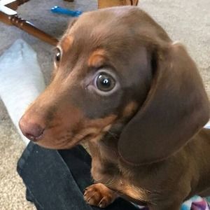 Meet your Posher, Kathy